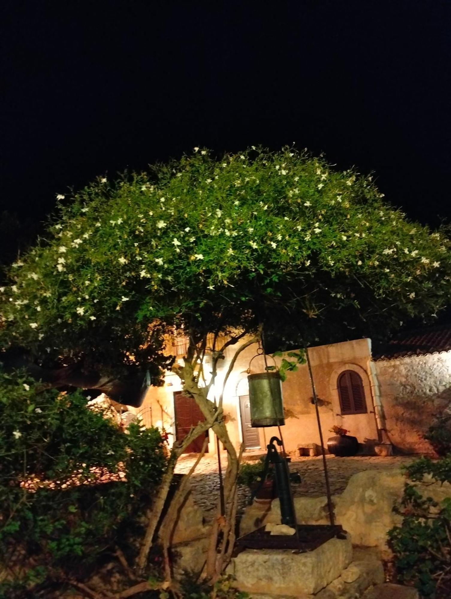 הוילה סנטה קרוצ'ה קמרינה I Dammusi מראה חיצוני תמונה